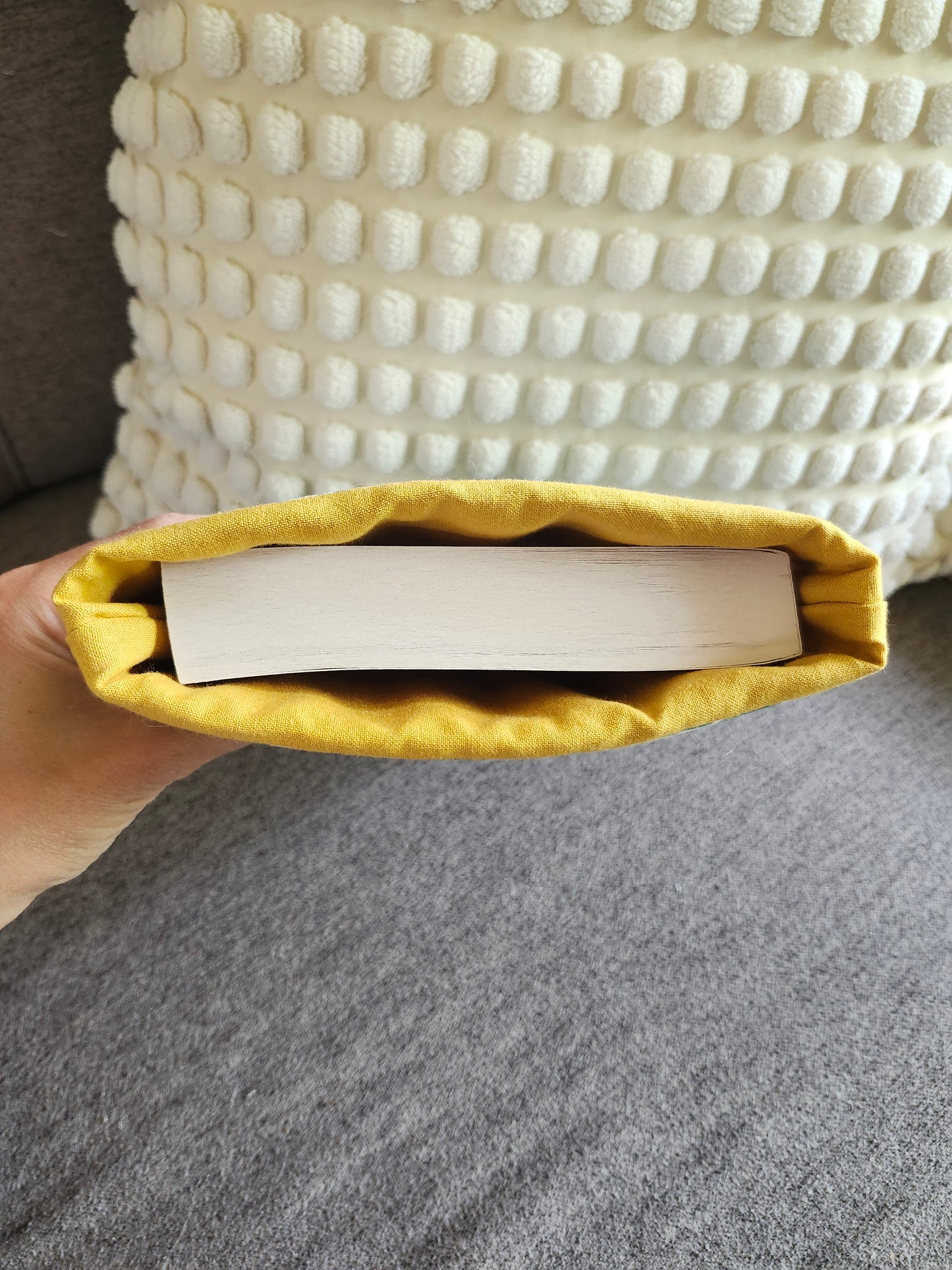 Pochette de livre L'envolée du dragon
